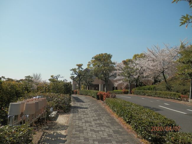 7火曜午前あまりのぽかぽか陽気で知北平和公園