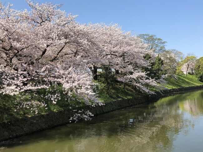 旅好きの皆様、このご時世いかがお過ごしでしょうか?鬱々とされてませんか?7日夜 緊急事態宣言が出されましたね。 <br /> 2020年4月2日(木)~4日(土)成田~福岡そして北九州へ。5日(日)~7日(火)福岡へそして成田へ。<br /> 本来なら3月末に、ブルネイの7つ星ホテルで優雅な誕生日を迎えるはずでした。でも、出発10日前になって、マレーシアが日本人の入国制限。ツアー催行中止の連絡が。図書館でガイド本を借り、ネットで検索するなど予習を始めていたのに・・・それならと急遽思い立った福岡旅です。安いエアチケットを探し、定宿より安いホテルを見つけ予約し・・・桜の開花予想は今年は早く、花吹雪なら間に合うかも?と。密を避け、花を愛でるマダム旅です。北九州編、福岡編がありますので、宜しければご覧ください。
