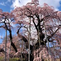 三春滝桜への道～白河の関を越えて