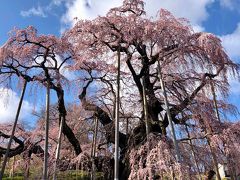 三春滝桜への道～白河の関を越えて