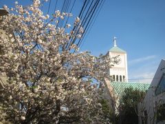 お仕事前の早朝散歩 学芸大学から洗足まで