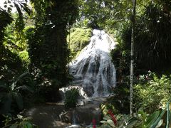 セントアン オーチョリオス ショーパークガーデンズ(Shaw Park Gardens, Ocho Rios, St. Ann)