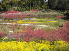 「天国に一番近い里」は、まさに桃源郷♪～島根県邑南町～