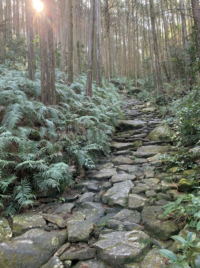 南紀を旅することにした。<br />書店で走ってみたい&quot;Cycle Sportu 日本の道50&quot; なる自転車旅雑誌を目にしてしまったからにはいくしかあるまい。<br />3台ある自転車はマウンテンバイク、ロードバイク、旅用ランドナー。今回は旅用自転車をチョイス。自分の年齢にはこの自転車が一番合っているかもね！<br /><br />1日目<br />世界遺産熊野古道　馬子瀬(まごせ)街道を歩く<br /><br />2日目<br />串本橋杭岩→南紀大島一周→本州最南端潮岬→串本海中公園→串本橋杭岩　<br /><br />空気が冷たく風がありきつい自転車漕ぎでしたが漕ぎ景色が良く最高のルートでした。島周りはアップダウンが多く結構体力が必要だと痛感！<br /><br />ちなみに僕のキャンピングカーは軽１ボックス(無改造)こいつとの旅は長く7年間で行っていないのは九州のみとなりました。愛する軽自動車なんです。