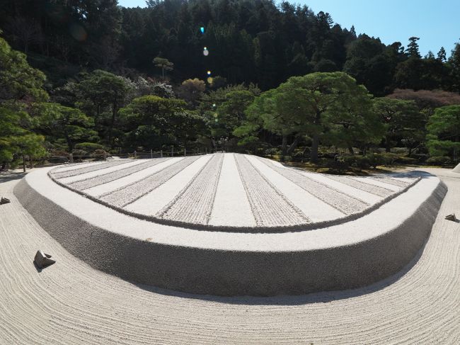 桜を撮りに京都に来て2日目です。今日はバスで慈照寺（銀閣寺）まで行き哲学の道を通って平安神宮まで行く予定です。桜は醍醐寺ほどではありませんがそこそこ咲いておりこの度の目的をほぼ達成できそうです。桜を撮るのに満足できたらあとは訪れたことのないところをひとつずつ見て回るつもりです。