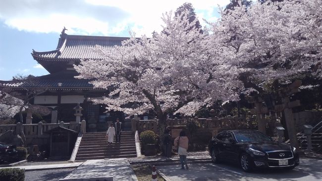 友達と車で有馬温泉に行って来ました。<br />桜が満開です。<br />ホテルのバイキングまで1時間あったので　<br />前、入らなかったので、元湯の金の湯・銀の湯に入りました。<br />人もそこそこ歩いていましたよ。<br />バイキングも大勢いました。ホテルのお湯にもゆっくり入ることができ、<br />まだ時間があったので　六甲山ロープウェイで登り　<br />関西方面が綺麗に見えました。<br />風が強く　お土産を見て　戻りました。