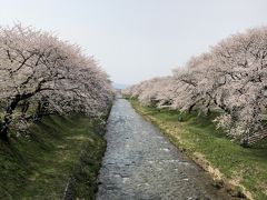 「春の四重奏」富山県朝日町にて