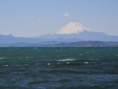 江ノ電に乗って、江ノ島に行ってきました