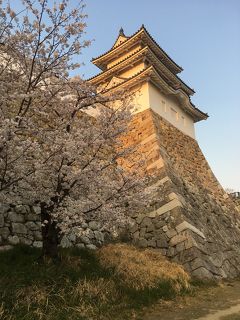 近場で遊ぼう♫ 明石公園と明石城跡編