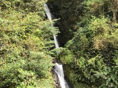 帰り道の途中に藤本滝の看板が目についたので藤本滝に行って見ました