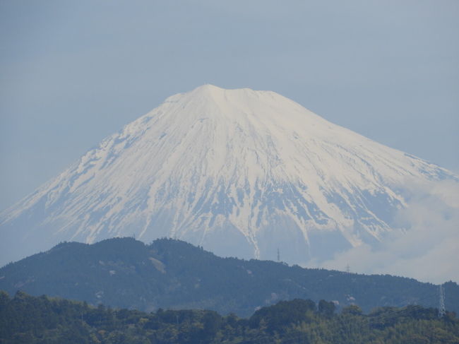 <br />3泊4日旅行代金合計 16560円<br /><br />宿泊費小計 8700円<br />1泊目 夕食無料カレー、朝食、VOD無料、QUOカード3000円 10300円ー5000クーポンー400ポイント=4900円<br />2泊目 夕食無料カレー、朝食 5000円ー3000クーポン=2000円<br />3泊目 素泊 3800円ー3000クーポン=800円<br /><br />交通費小計 6160円<br />青春18きっぷ3日分 5000円 <br />バス 浜松駅 フラワーセンター 570円<br />バス 動物園 浜松駅 590円<br /><br />飲食費小計 1700円<br /><br />その他小計 0円<br />浜松市動物園 0円(頂きもの)<br />