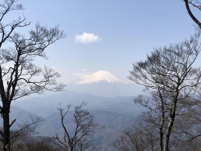早春の丹沢の檜洞丸登頂。高度差1,061メートルを登った山頂からは、西に独立峰ならではの富士山の絶景を楽しみ、東の青ヶ岳山荘からは蛭ヶ岳を始めとする丹沢のオールスターを望んだ。