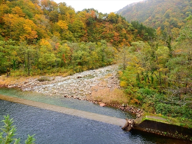 鶴巻池と泡抱ダムの紅葉