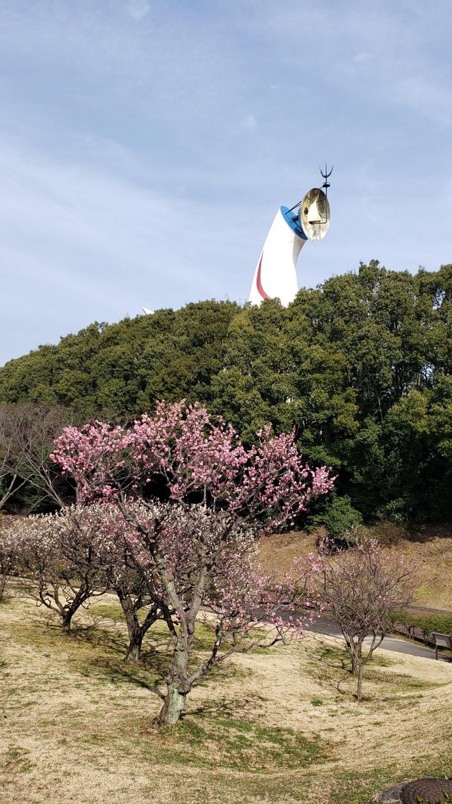 里帰り中に梅を見に行きました。<br /><br />コロナ影響で客足の少ない梅園でした。<br />