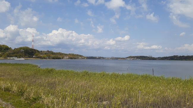 　ご覧戴きましてありがとうございます。<br />　2020年４月11日の土曜日は浜松市内で用事があった為、お出かけをし、その用事を済ませた後、市内西部に位置する「佐鳴湖公園」というところを散策してきました。<br />　佐鳴湖公園ですが、浜松市の西寄りに位置する佐鳴湖という湖の湖畔沿いにある公園で、緑地部分は勿論、遊歩道等もあり、手軽に自然を散策することができます。<br />　当日はその佐鳴湖公園を南東寄りエリアを起点に南西寄りエリア、北西寄りエリアの順に散策しましたが、今回はその時の様子を１話完結で紹介させて頂きます。<br />　2020年４月11日付の為、東京・大阪等では非常事態宣言が発令されましたが、2020年４月11日現在、①静岡県内は非常事態宣言の対象ではないこと②用事ついでの散歩の旅行記である為、以上の２点をご了解戴いた上でご覧戴ければ幸いです。