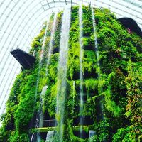 ノボテル クラーク キー シンガポール ホテルに関する旅行記 ブログ フォートラベル Novotel Singapore Clarke Quay Hotel シンガポール ノボテル クラーク キー シンガポール ホテルに関する旅行記 ブログ フォートラベル Novotel Singapore Clarke Quay Hotel シンガポール