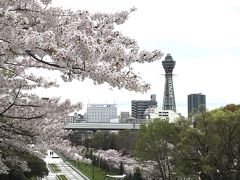 桜満開の天王寺公園周辺