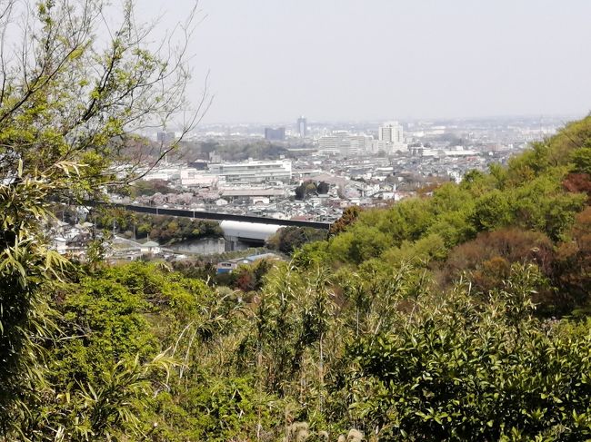 遠出もままならぬ日々の中で、人がいないところをぶらつき、心身を再起動しようかと思いました。そこで、大山に行きたいところ、その手前あたりで探したのが、この伊勢原。塔の山のふもとの散策路を歩き、果樹園のそばを通り、八幡神社、長福寺といった地元の神社、仏閣をお参りしました。<br />実は塔の山に行くつもりが道がわからなくなって、途中コースを変更しました。塔の山をめざすなら、北側にバス停があるので、歩きならバスで行って、往復したほうがいいでしょう。<br />このあたり、人はまったく歩いていませんでしたが、普段でも人は少ないでしょうね。