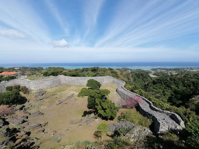 1月の沖縄（前編：本島北部ツアー編）