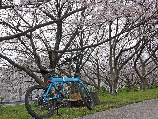 咲き始めた桜を見ようと市内をウロウロしてきました。<br />その第4回は、潤井(うるい)川沿いを自転車で走りました。<br /><br />★富士市役所のHPです。<br />https://www.city.fuji.shizuoka.jp/