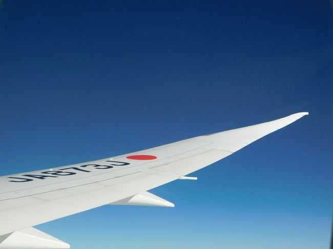 子供たち(ムスメ:小4、ムスコ:小1)に海外体験をと一念発起。<br />JAL特典航空券を確保し、ロサンゼルスへ初めての海外家族旅行に行ってきました。<br /><br />海外旅行は新婚旅行以来の11年振りで僅か3回目、英語力は記憶の薄れた高校英語。<br />引率者としては、少々心許ないスペックですが、ネットの皆さんの情報を頼りに、無事に楽しく旅行する事ができました。<br /><br />今度は自分の体験が誰かの役に立てばと、旅行記を書くことにしました。<br />旅行をしていた時点では旅行記を書く予定はなかったので、写真はあまり役に立つものが無いかもしれませんが、お付き合いください。