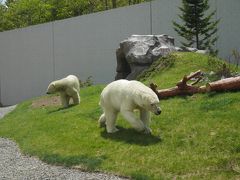 円山動物園と温泉