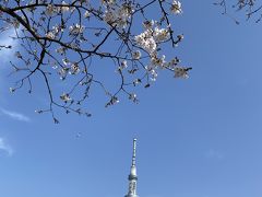 2020 お花見は隅田川と夜の石神井川