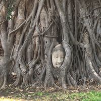 タイ旅行８日目：古都アユタヤで遺跡巡り～バンコク