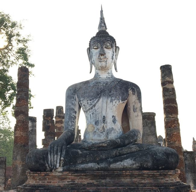 タイ旅行５日目：１月26日<br />朝8時出発の相乗りバンでチェンマイを出発してスコータイへ。<br />終点駅前の【The Coffee Cup】でランチ。<br />「サワディースコータイ リゾートホテル」にチェックインして自転車を借りてスコータイ遺跡公園内を巡ります。<br />とりあえず今日のところは城壁内。<br />「ワットマハータート」「ワットシーサワーイ」「ワットトラパンングン」「ラームラームカムヘーン大王記念碑」などの大きなところをはじめ途中にも何か所もある寺院跡やチューディーなど眺めつつ一回り。あたりも薄暗くなり始めたので戻ります。<br />途中ライトアップしていた寺院「ワット トラパントーン」によってみると灯篭流しが始まるところでした。灯篭を手渡されお祈りの後お坊さんに案内されて川に流しました。<br />夕飯はホテルに向かうわき道に入る手前にあった【Coffee House by Sinvana】に立ち寄っておいしくいただきました。<br />ホテルまではあまり明るくない車道を自転車をこいで戻りました。