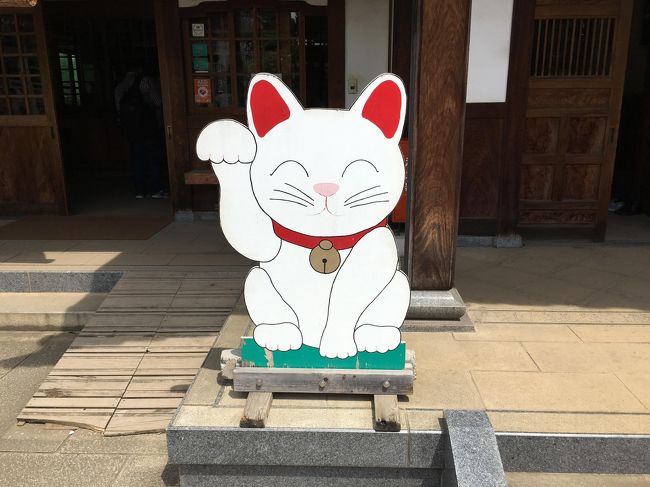 　松陰神社に行った後、徒歩で10分くらいの距離に招き猫発祥の地として有名な豪徳寺があるので寄ってみました。<br />　ここ豪徳寺は、江戸時代の彦根藩主井伊家の菩提寺です。安政の大獄で辣腕を振るった大老井伊直弼の墓と、安政の大獄で刑死した吉田松陰の墓が、直線距離でおおよそ500メートルの場所にそれぞれ眠っているのは何かの因縁でしょうか。<br />　もう一つ忘れてならないのは、招き猫発祥の地といわれる場所。台東区の今戸神社、そして新宿区の自性院などの説がありますが、それぞれどうも平成に入ってからの招き猫ブームに便乗したものっぽく、かなり胡散臭いです。<br />ここ豪徳寺が発祥との説は、彦根藩第２代藩主の井伊直孝が鷹狩りの帰りに豪徳寺前を通ったところ、この寺の和尚の飼い猫が手招きするような仕草をしたため寺に立ち寄り休憩した。するとまもなく雷雨が降りはじめ、雨に降られずにすんだことを喜んだ直孝は、この粗末な造りの寺を建て直すため多額の寄進をして大きくなったという。和尚はこの猫が死ぬとお墓を建てて手厚く弔り、そしてのちに境内に招猫堂が建てられ、猫が片手を挙げている姿をかたどった招き猫が作られるようになったそう。そしてこれらのご縁から井伊家の菩提寺となったそうです。