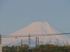 久しぶりに真っ白な富士山が見られました