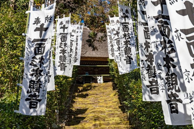 鎌倉/湘南ぐるり旅【17】～苔の石段が美しい～杉本寺