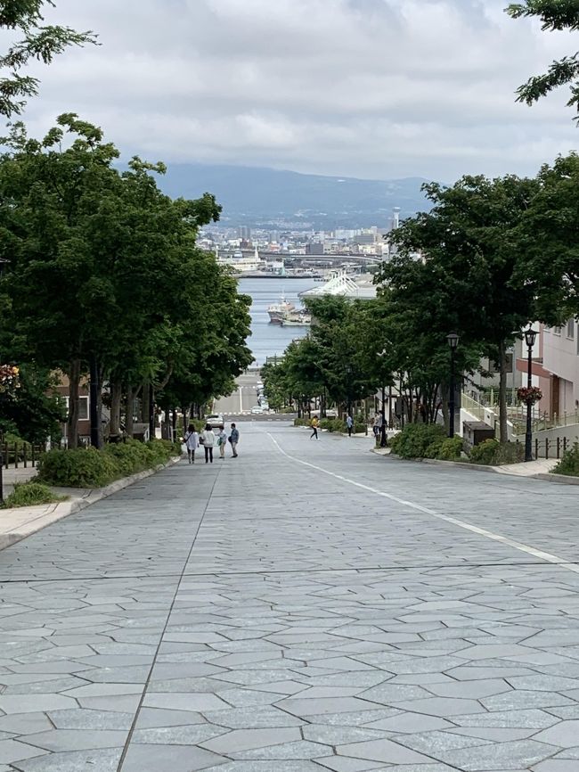 　北海道の中でも、道南の方はなかなか行かない所ではないかと思います。なぜなら、今でこそ、北海道新幹線が開業して交通アクセスが改善されましたが、以前は交通の便が良くなかったですし、何より道東・道北と違って、行こうという意欲があまり高まらないのではないかと思います（失礼な）。私は、正直「函館は魅力だけど・・・行くの大変だなあ」、と思っていました。<br />　しかし、飛行機の時刻表を見たら、「函館行けそう」ということや、またもやtenki.jpさんの予報に騙されまして10日間予報で「晴れ」と出ていたことから、函館行きを決めることに。函館行きを決めたとたん、北島三郎の「函館の女」の、「は～るばる来たぜ！はっこだてぇー！」というフレーズで頭がいっぱいになり、そのままの勢いで予約を入れました。<br />　行程は1泊2日。土曜日午前に大阪伊丹から直行便で函館へ行き、午後は函館観光。五稜郭や元町散策、ロープウェイで函館山にも行きました。日曜日は、定期観光バスツアーに参加しておよそ１日函館の観光地を巡りました。ツアー終了後、函館―伊丹の直行便はないため、函館空港から中部国際空港へと飛び、そこから新幹線等を乗り継いで大阪に戻ってきました。<br />　ということで、大阪からはるばる函館にやってきましたが、印象としては、函館は新幹線効果なのか、観光地として整備され、駅前はホテルがたくさんあったのが印象的です。そして、やはり北海道、ローカルな風景・時間感覚に癒されました。<br />　ということで、2日間の滞在ということもあり、2回に分けてご紹介したいと思います。今回は後編として、定期観光バスに乗って「函館１日ツアー」に参加したので、そこでの訪問地を中心にご紹介します。この函館1日ツアーは、立待岬、元町散策、赤レンガ倉庫群、五稜郭公園、トラピスチヌ修道院、あいす118、土方・啄木記念館を回るものです。感想としては、ただ、自力じゃいけないようなところにも案内していただいたので、非常にありがたかったのですが、時間が足りなかったというのが感想です。開始時間や終了時間が決まっているのが大きいのかなあと。主要な所は前日に行っておいて本当に正解でした。<br /><br />