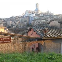 イルミネーションの季節のイタリア旅2019-20～④クリスマスのシエナ(2)