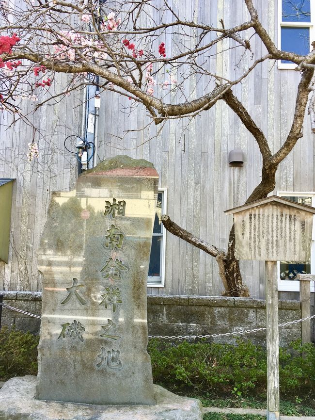 恒例の墓参りに行く際に、以前から気になっていた湘南に立ち寄りました。先ずは平塚駅で途中下車。その後、湘南発祥の地の大磯へ。そして最終地点の小田原へ。あくまで３Mを避けて。恥ずかしながら、湘南発祥の地が大磯ということを今回初めて知りました。伊藤博文や大隈重信、吉田茂などの著名人の多くがこの地に別荘を建てていて、政界の奥座敷とも呼ばれ、避暑地百選で全国１位になったこともあるそうです。国営明治記念大磯邸園や県立大磯城山公園など見所も沢山あり、日本史を改めて学び直して、是非また訪れたいと思います。