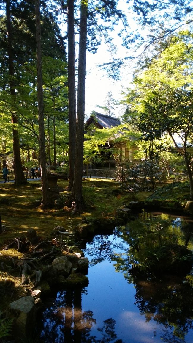 鞍馬・大原（後編：大原）