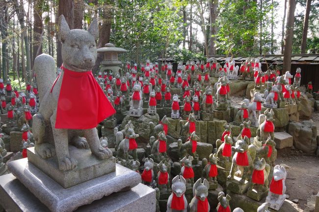 三河地方をあまり訪れることがないので、豊川市と言ったら「豊川稲荷」しか<br />思い浮かびませんでした。<br />さすがに誰でも知っている「豊川稲荷」を通過するのは忍びない。<br />どんなところなのか、何故有名なのかも知らず、行ってみました。<br />正式名称、圓福山妙嚴寺（えんぷくざん みょうごんじ）は、<br />駐車場から総門までが遠い。敷地が広いってことですね。<br />普通に言う「お稲荷さん」とは違って、本格的な神社仏閣でした。<br />そして、奥の院の更に奥にある「霊狐塚」。これが人気の元でした。<br />これは、なかなか写真を撮るのがおもしろい。行って見てよかったです。<br />