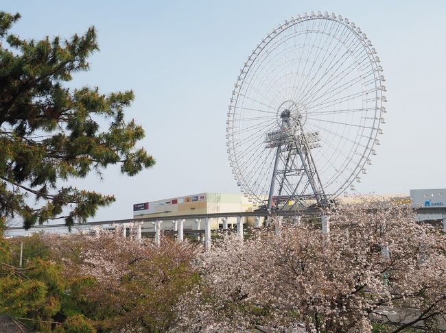 家を出ることもはばかる、この頃です。<br />運動不足になってしまいそう。<br />明日から、天気も下り坂で、運動がてらの散策、この日にしないと。<br />大型複合施設のエキスポシティは、休館中ではありますが、その周辺にはまだ桜の花が残っているのではないかと、出かけてみました。<br /><br />【写真は、桜の向こうにエキスポシティです】