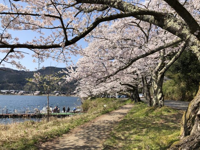 この春の海外旅行、結局キャンセルしたため<br />時間がぽっかりとあく・・<br /><br />それでは、ということで、ちょうど桜の季節！<br />花見客も少ないだろうということで、車で出かけ<br />運動不足解消のための散歩♪<br />ついでに気が止まったらスケッチも・・　