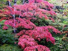 ネコバリ岩の紅葉