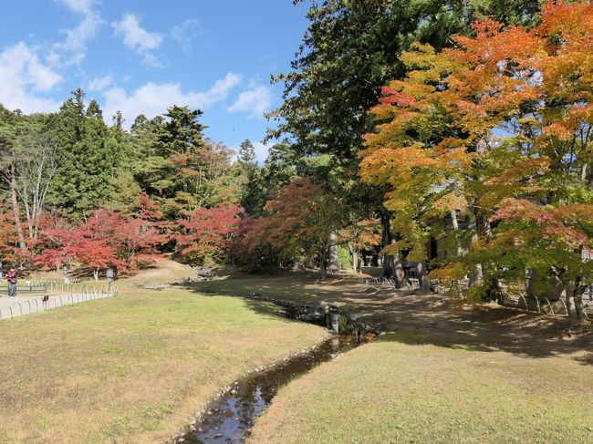 出張ついでに秋の平泉観光 2019