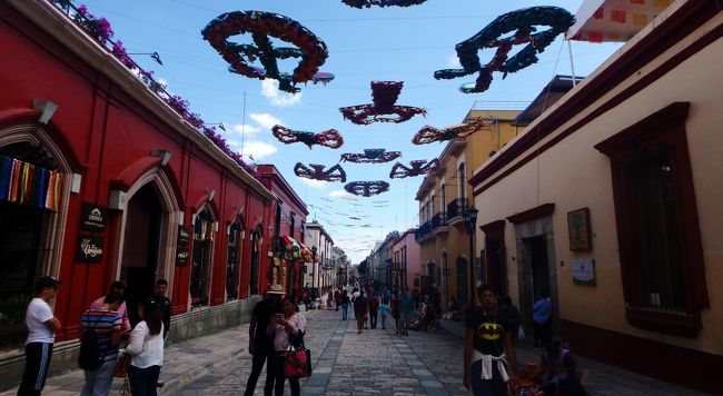 夏休みの家族旅行もいよいよメキシコ最後の街オアハカに来ました。<br />メキシコシティでは渋滞や治安の悪さに苦心したのがウソのように、オアハカはのんびりとしていて楽しい時間を過ごせました。<br />コロニアルスタイルのきれいな街並み、メキシコらしいポップな色使い、抜けるような青空。<br />グアナファトと同じく映画リメンバー・ミーのモデルになった街の一つとされていますが、陽光あふれるおとぎの国のようでした。<br />オアハカは先住民の比率が高く、昔からの伝統が息づく街です。<br />さらにちょっと足を延ばすとミトラ、モンテ・アルバンなど古代文明の遺跡、イエルベ・エルアグアと石灰棚といった自然の絶景を見ることもでき、メキシコの持ついろんな魅力がギュッと詰まった街でした。<br /><br /><日程><br />7/25 成田からメキシコシティ経由でカンクンへ移動<br />7/26 カンクン ‐ホテルでのんびり<br />7/27 カンクン ‐現地ツアーでトゥルム遺跡とセノーテなどを巡る<br />7/28 カンクン ‐ホテルでのんびり<br />7/29 カンクン ‐自然海洋テーマパーク「シェルハ」で遊ぶ<br />7/30 カンクンからグアナファトへ移動<br />7/31 グアナファト観光<br />8/01 グアナファトからメキシコシティへ移動 <br />8/02 テオティワカン遺跡と国立人類学博物館を観光 <br />8/03 メキシコシティからオアハカへ移動 ←ココ<br />8/04 オアハカ ‐現地ツアーでイエルベ・エル・アグア、ミトラ遺跡、トゥーレの木を観光 ←ココ<br />8/05 オアハカ ‐モンテアルバン遺跡観光 ←ココ<br />8/06 オアハカ ‐市内観光&ショッピング、メキシコシティへ移動 ←ココ<br />8/07 メキシコシティ出発<br />8/08 成田着<br /><br />値段は1ペソ=5.5円で換算しています。