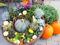 ちょっと散歩　ツォンス&Josefshof　ドイツで見つける大きい秋