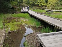 東高根森林公園そぞろ歩き