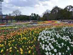 木曽三川公園センターのチューリップを楽しむ