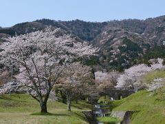 霞間ケ渓（かまがたに）のサクラを楽しむ