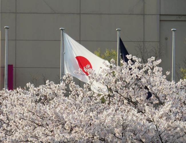 美作・因幡・伯耆・出雲の旅②<br />今回私が利用したのはANAクラウンプラザ米子。春の行楽シーズンですが、今年は全国的に人の移動が減っていますので、ここも例外ではありませんでした。観光目的であれば、私もこの時期に県外への移動は考えなかったでしょう。空いているからと観光を楽しんでいる人もいるようですが、プライベートの予定（旅行を含む）を全てキャンセルした私にとっては複雑な思いでした。他の地域で感染が広がっている間は私も不要不急の外出を控え、家で情報収集に専念するつもりです。サラッとだけですが、米子の夜歩きの様子をご覧ください。