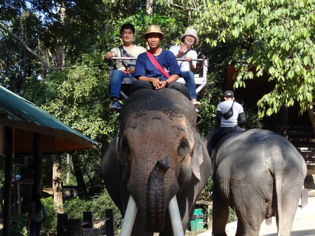 タイのロイクラトーンでチェンマイにコムローイを上げに24年ぶりに家族で旅行しました。長男は海外旅行が初めてですのでバンコクで定番の観光をしてロイクラトーン発祥の地スコータイへ寄って最終目的地のチェンマイまでの観光を兼ねての旅行です、前夜にメーリム会場でコムローイを上げ、今日はラストワンでチェンマイ郊外の観光に出かけました。