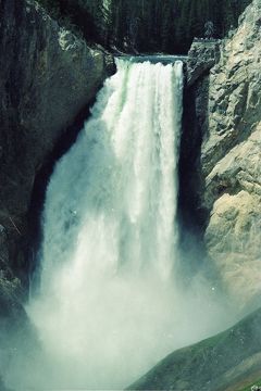 Yellowstone National Park, 1979.