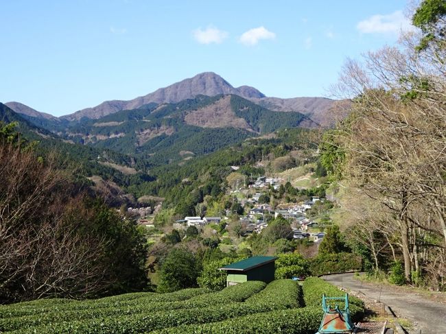 旅に出たならば、帰らねばなりません。<br />東征のあとの、ヤマトタケルの家路を辿ります。<br /><br />古代足柄山越え東海道は、足柄道、足柄路と呼ばれておりました。足柄路当時の駅である坂本駅、その後の関本宿から足柄峠まで、足柄路の一部が足柄古道として残っております。<br />この道をヤマトタケル、Mlle.菅原も歩きました。<br />古道の足柄神社から矢倉沢関所あとまで歩いてみました。<br /><br />この旅行記グループは19年11月の旅行の記録です。ドライブは20年4月2日ですが、旅行記を順番に並べたいので、旅行日を11月10日とします。<br /><br />今回の旅行記で引用、参照した資料は、<br />ヤマトタケルの家路1 足柄の坂<br />に列挙してあります。